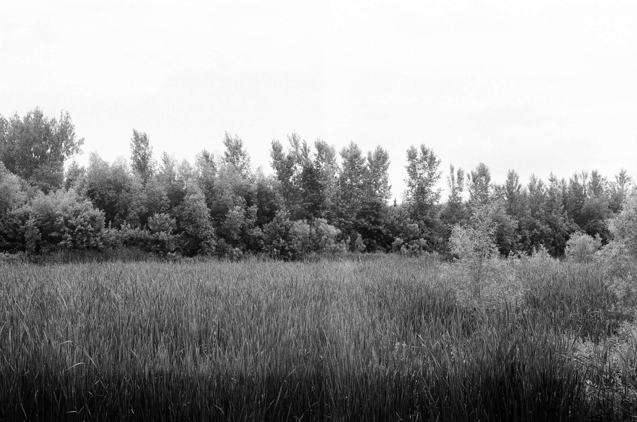 Rivière St-Charles
